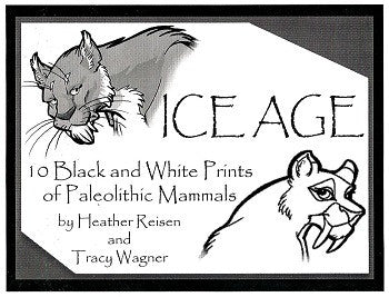 ICE AGE Portfolio (Tracy Reynolds & Heather Reisen) (2000)