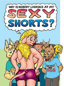 SEXY SHORTS (2015) (Kjartan KARNO Arnorsson)